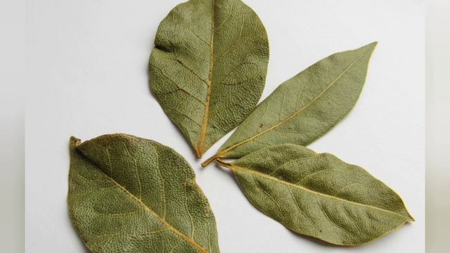 Защитит от сглаза и почистит жильё #полезныесоветы #изотерика #магиярастений#yuotube