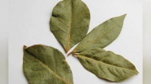 Защитит от сглаза и почистит жильё #полезныесоветы #изотерика #магиярастений#yuotube