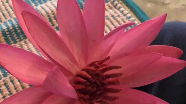 Ждём малыша с радостью. Медитация. Глубокое расслабление. Музыка Эолия «Ангел любви». смотреть онлайн