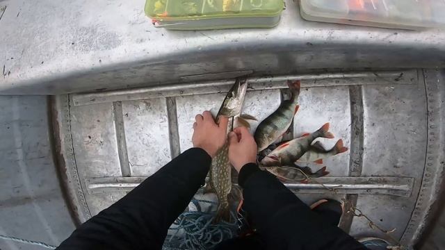 Универсальная блесна для ловли окуня и щуки на спиннинг. Попробуйте и не пожалеете. / #рыбалка смотреть онлайн