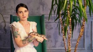 Содержание королевских питонов, стоит ли заводить змею новичкам?