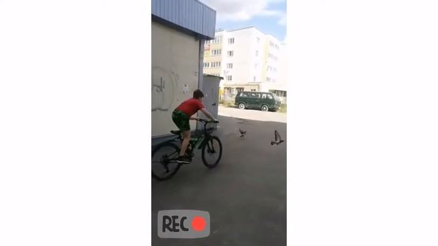 PARKOUR ПРЫЖКИ С ЛЕСТНИЦЫ смотреть онлайн