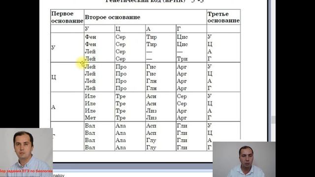 Разбор задания 27 ЕГЭ по биологии 2021. Синтез белка. Метионин, стоп-кодон. смотреть онлайн