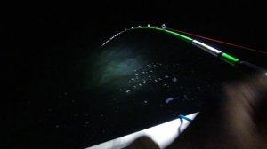 Рыбалка на кальмара 2022. Удилище Тауманн и кальмарницы серии Tanku в работе. #кальмар