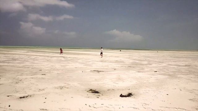 Побережье Падже, Занзибар 2019 / Paje beach, Zanzibar 2019 смотреть онлайн