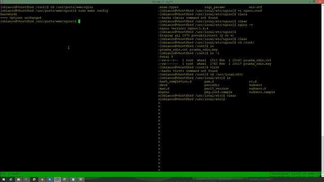 FreeBSD 10 Nginx (SSL) video 2 смотреть онлайн