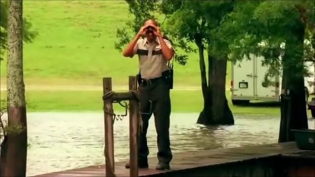 Swamp Shark Death Scenes смотреть онлайн