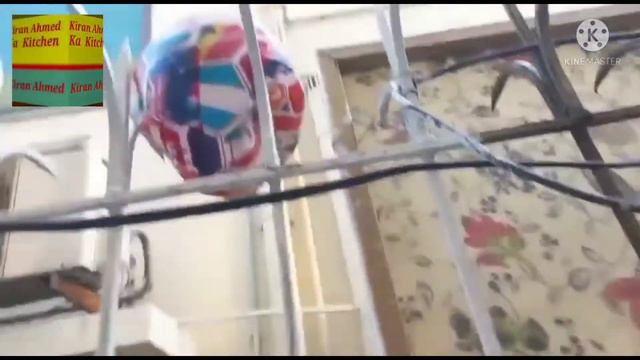 Behan Ki Birthday🎂 P Janay Ki Tayari Kiran Ahmed Ka Kitchen смотреть онлайн