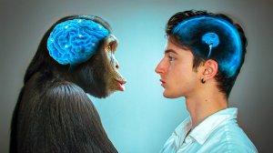 Человечество деградирует, и вот почему