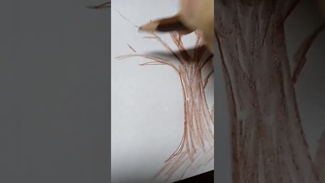 как нарисовать**дуб смотреть онлайн