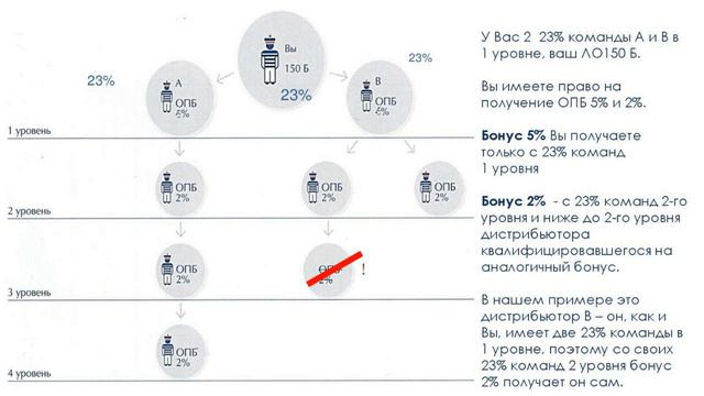 Маркетинг план BIOSEA. Часть 2 смотреть онлайн