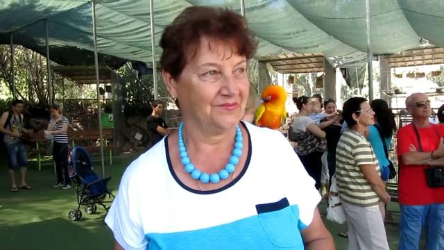 Парк утопия3 В Израиле смотреть онлайн