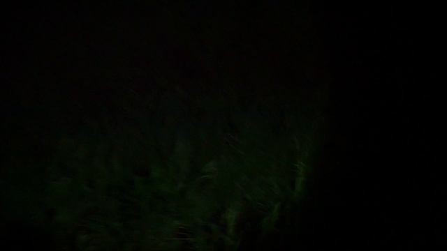 ПРОДОЛЖЕНИЕ ИЗ ТЕЛЕГРАММА С КАНАЛА ЮТУБ ХАЙП, @user-vg7xo4po5q смотреть онлайн