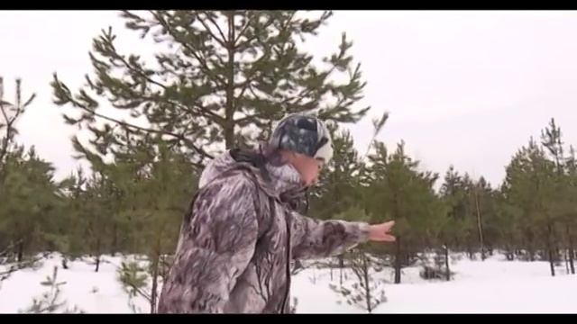 29 02 16 В лесах Удмуртии сосчитали диких животных смотреть онлайн