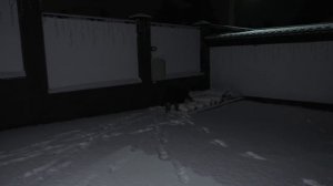 Забросал Тишу СНЕЖКАМИ... Украшаем ДОМ и ДВОР к Новому Году!!!