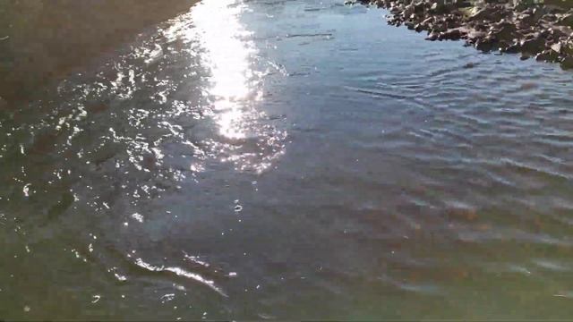 спуск по горной реке на водомете лодка Абакан 380 джет мотор голфстрим 25 джет смотреть онлайн