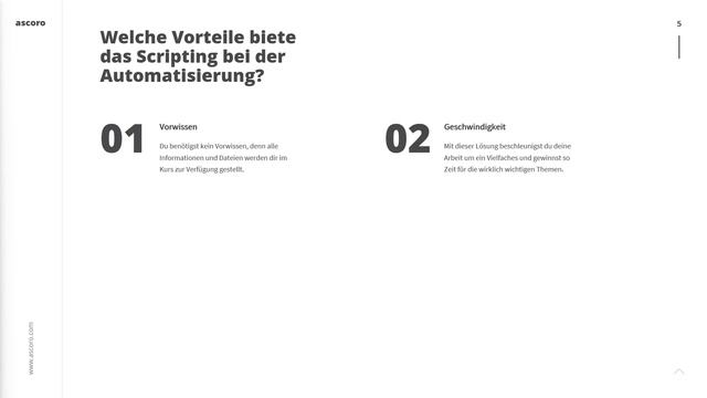 SAP GUI Scripting: SAP-Automatisierung direkt aus MS Excel смотреть онлайн