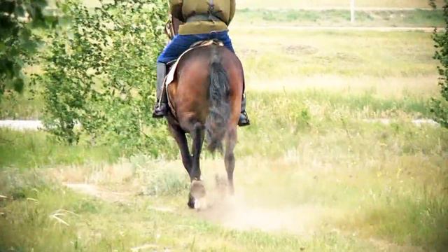 Дуэт МаМа "Надоело казаку воевать" смотреть онлайн