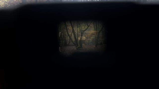 Shooting Film with Hasselblad Xpan II & 501cm | Sweden Roadtrip смотреть онлайн