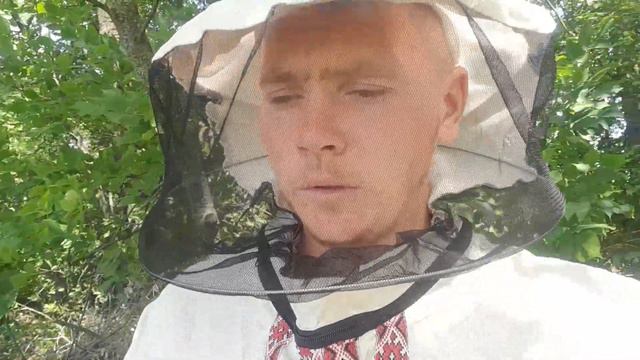 Бджоли на соняшнику не йдуть у верхній корпус! Що сталося? смотреть онлайн