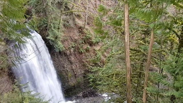 #38. Парки в штате Вашингтон. смотреть онлайн