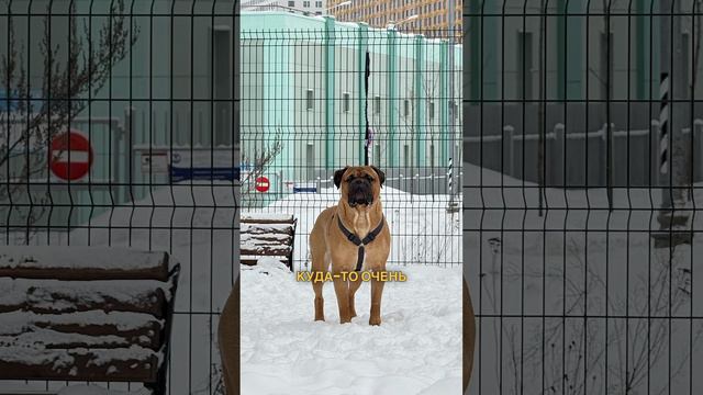 Три причины купить IPhone 15 Pro Max