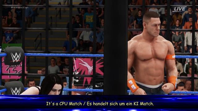 WWE 2K18 GAMEPLAY: Paige & John Cena VS. CM Punk & Alexa Bliss | Community Wish Match смотреть онлайн