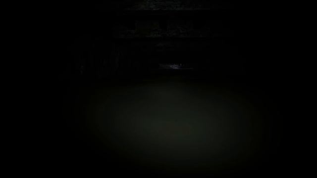 Resident Evil 7: Biohazard #1: Looking for Mia / В поисках Мии [No Commentary Walkthrough PC] смотреть онлайн