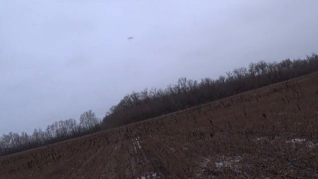 Охота на лис с русскими гончими 26 12 2022 г смотреть онлайн