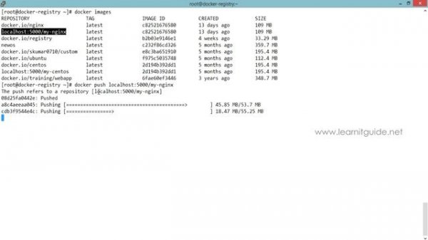 How to Build Own Private Docker Hub Registry on Linux - Docker Tutorial Part 7