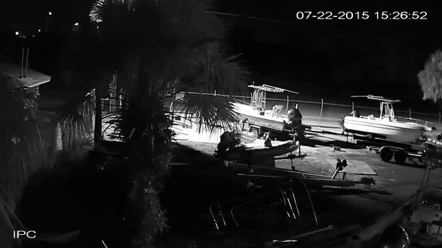 marina theft prevented смотреть онлайн