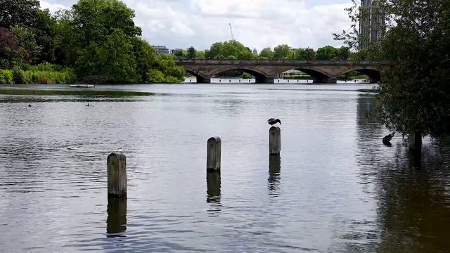 Гайд парк (2020) смотреть онлайн