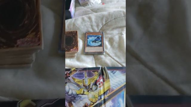 Agave Dragon Deck Profile смотреть онлайн