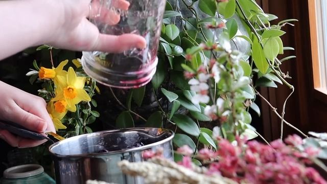 Prosperity Spell || Blackberry Thumbprint Cookies || Recipe and Spell смотреть онлайн
