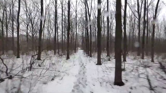 Как сделать механический стедикам из видео монопода смотреть онлайн