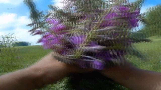 Домашний кулинарный мастер-класс