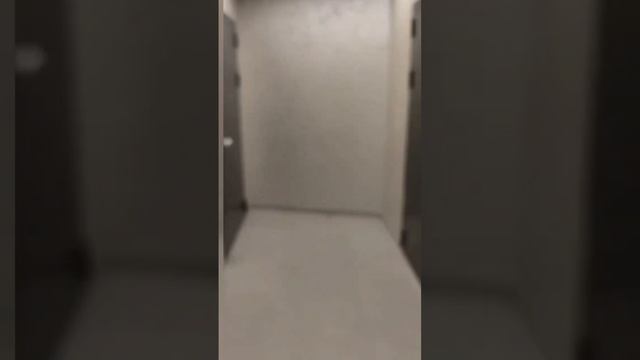 Обзор квартиры Golden City Санкт-Петербург евро-двушка 46.4 кВ м смотреть онлайн