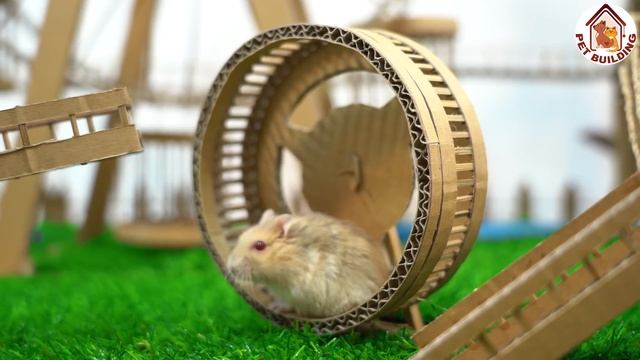 Build Hamster House And Ferris Wheel For Hamster Playground смотреть онлайн