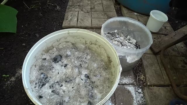 Подкормка золой. Дайте это в ИЮНЕ Огурцам, Томатам, Перцу и они сразу обильно заплодоносят. смотреть онлайн