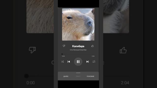 Трек Капибара (1 ЧАС) (ft. Сто-личный Она-нас) смотреть онлайн