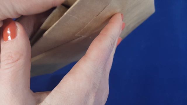 Пакеты из крафт бумаги без печати с плоскими ручками