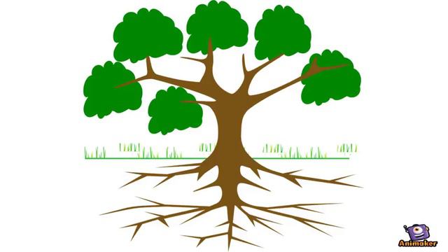 Baobab y acacia смотреть онлайн