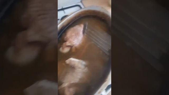 Оренбургский казахский суп (салма)