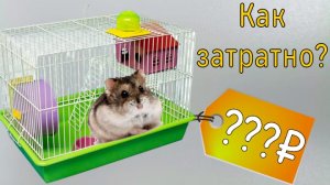 На сколько затратно содержать хомяка в домашних условиях/затраты на хомяка
