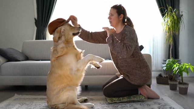 Какая порода собак подходит вам по Знаку Зодиака ? смотреть онлайн