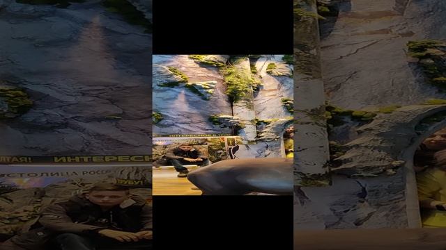 ВДНХ.Тюменска область смотреть онлайн