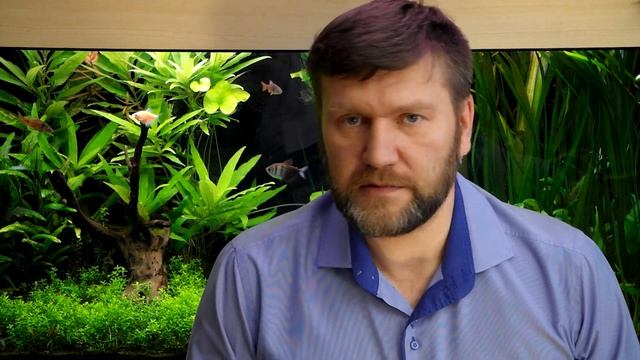 Сколько стоит содержание аквариума смотреть онлайн