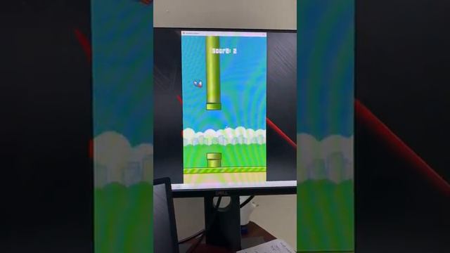 FlappyBirds using Pygame for beginners смотреть онлайн