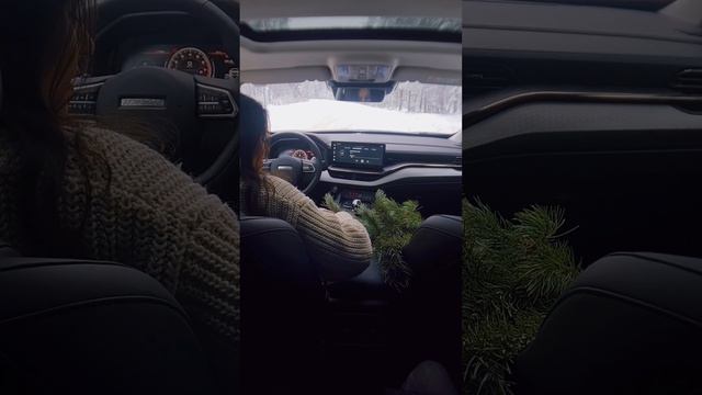 HAVAL F7? Здесь безупречно все, согласитесь? смотреть онлайн