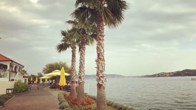 Seget Vranjica 2018 (Dji Osmo Cinematic 4K) смотреть онлайн